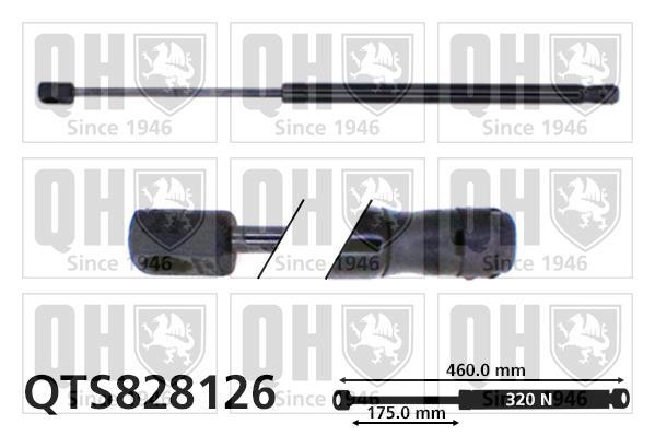 Vérin (Vérin de hayon) QUINTON HAZELL QTS828126
