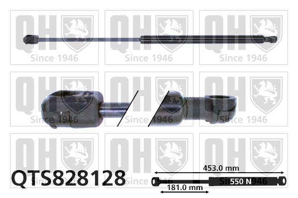 Vérin (Vérin de hayon) QUINTON HAZELL QTS828128