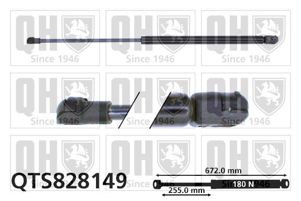 Cilindro QUINTON HAZELL ref. QTS828149