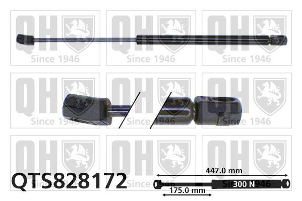 Muelle neumático QUINTON HAZELL ref. QTS828172
