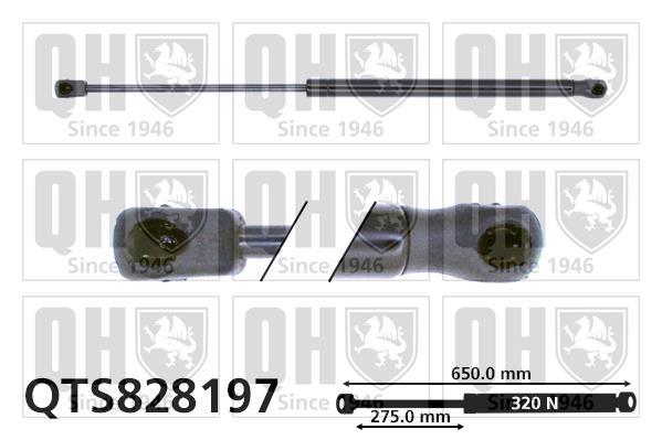 Cilindro QUINTON HAZELL ref. QTS828197