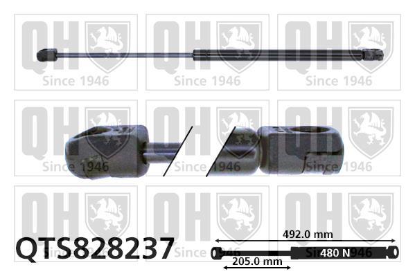 Vérin (Vérin de hayon) QUINTON HAZELL QTS828237