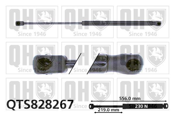 Muelle neumático QUINTON HAZELL ref. QTS828267