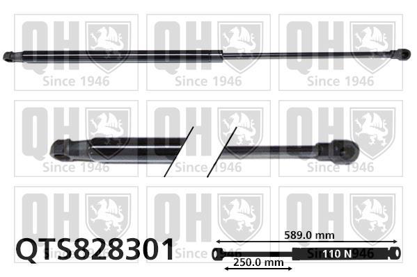 Vérin (Vérin de hayon) QUINTON HAZELL QTS828301