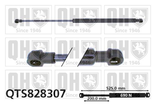 Vérin (Vérin de hayon) QUINTON HAZELL ref. QTS828307