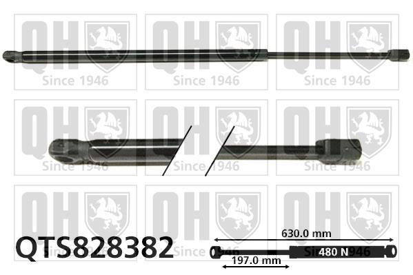 Vérin (Vérin de hayon) QUINTON HAZELL QTS828382