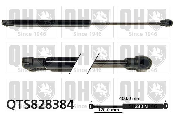 Vérin (Vérin de hayon) QUINTON HAZELL QTS828384