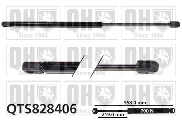 Vérin (Vérin de hayon) QUINTON HAZELL QTS828406