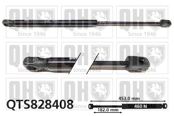 Vérin (Vérin de hayon) QUINTON HAZELL QTS828408