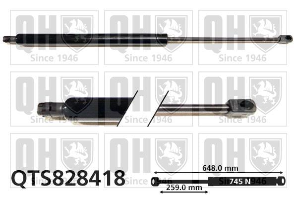 Cilindro QUINTON HAZELL QTS828418