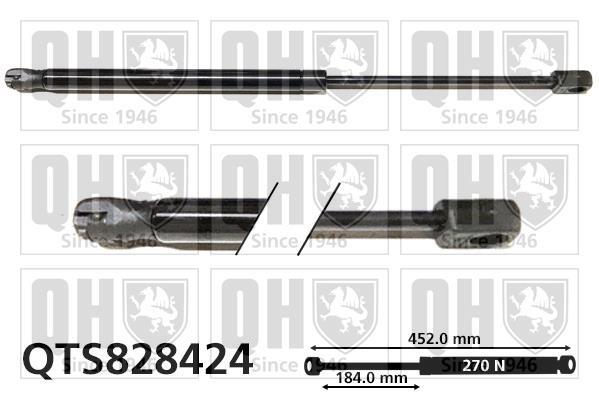 Vérin (Vérin de hayon) QUINTON HAZELL QTS828424