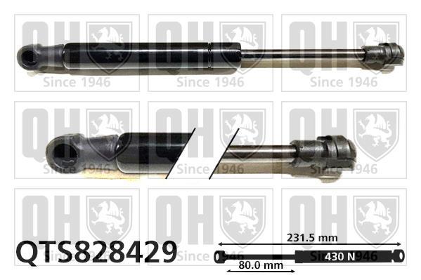 Vérin (Vérin de hayon) QUINTON HAZELL QTS828429