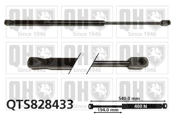 Vérin (Vérin de hayon) QUINTON HAZELL QTS828433