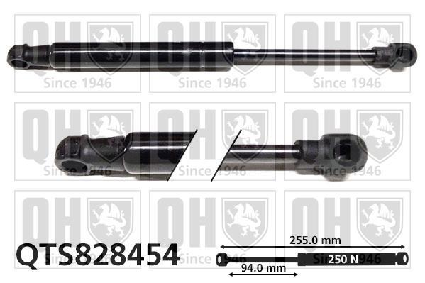 Vérin (Vérin de hayon) QUINTON HAZELL QTS828454