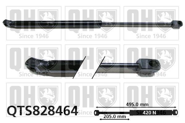 Vérin (Vérin de hayon) QUINTON HAZELL QTS828464