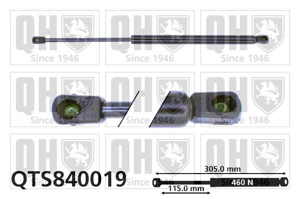 Vérin (Vérin de hayon) QUINTON HAZELL QTS840019