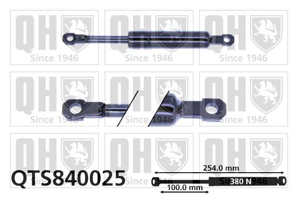 Vérin (Vérin de hayon) QUINTON HAZELL QTS840025