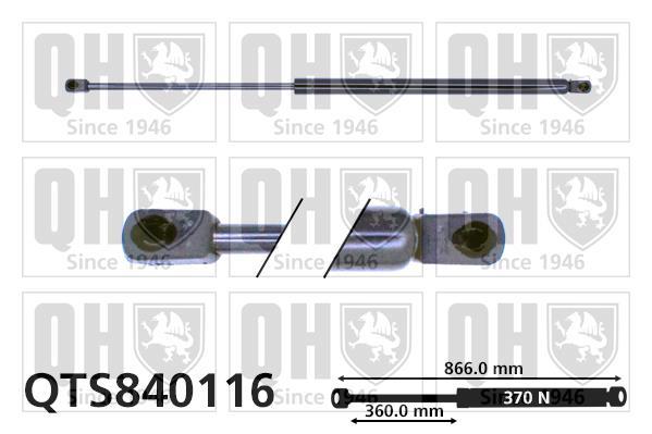 Vérin (Vérin de hayon) QUINTON HAZELL QTS840116