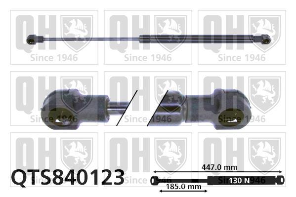 Vérin (Vérin de hayon) QUINTON HAZELL QTS840123
