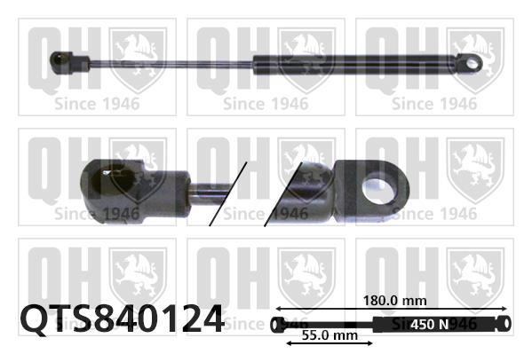 Vérin (Vérin de hayon) QUINTON HAZELL QTS840124