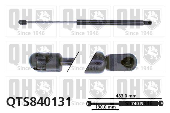 Vérin (Vérin de hayon) QUINTON HAZELL QTS840131