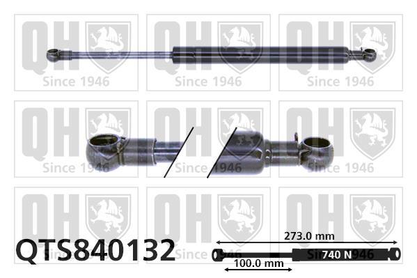 Vérin (Vérin de hayon) QUINTON HAZELL QTS840132