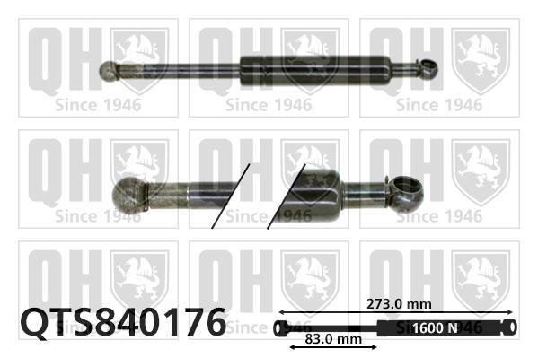 Vérin (Vérin de hayon) QUINTON HAZELL QTS840176