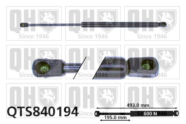 Vérin (Vérin de hayon) QUINTON HAZELL QTS840194