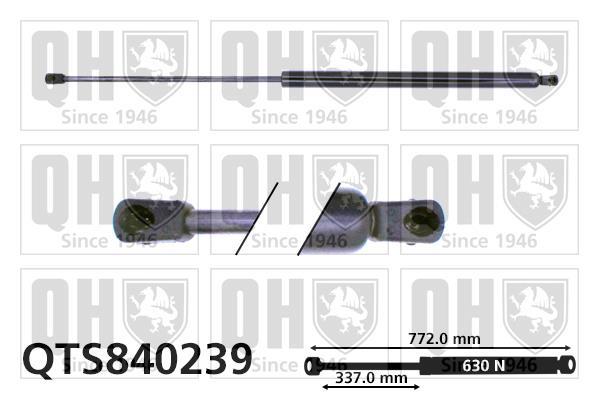 Cilindro QUINTON HAZELL ref. QTS840239
