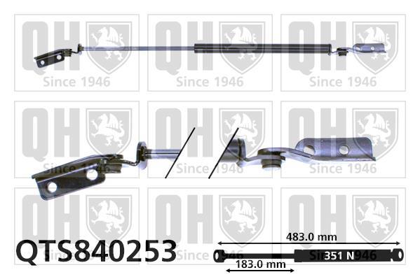 Vérin (Vérin de hayon) QUINTON HAZELL QTS840253
