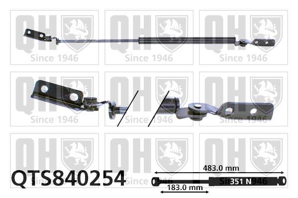Vérin (Vérin de hayon) QUINTON HAZELL QTS840254