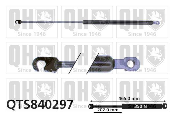 Vérin (Vérin de hayon) QUINTON HAZELL QTS840297