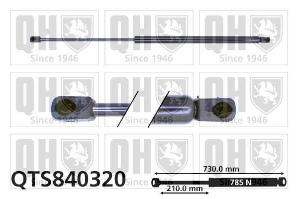 Vérin (Vérin de hayon) QUINTON HAZELL QTS840320
