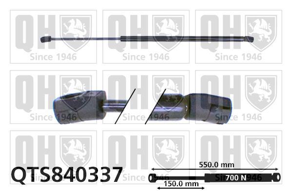 Vérin (Vérin de hayon) QUINTON HAZELL QTS840337