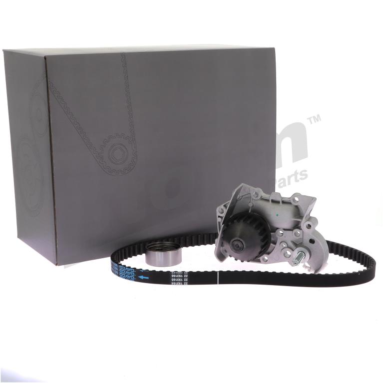 Pompe à eau + kit de courroie de distribution (Kit courroie de distribution) Storm ref. 5550057KP