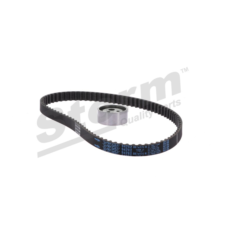 Kit de distribution Storm ref. 5550058