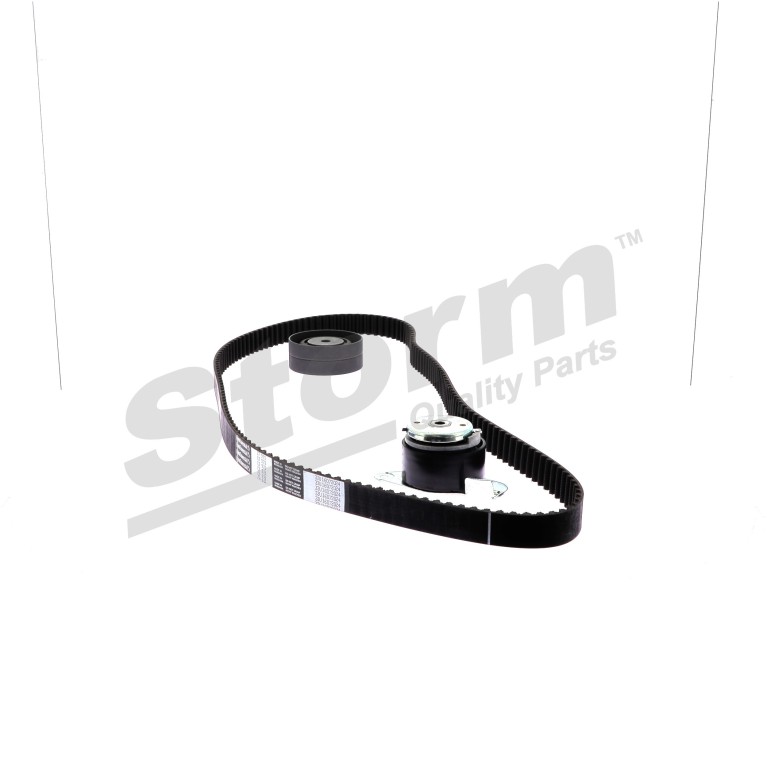 Kit de distribution (Kit courroie de distribution) Storm 5550398