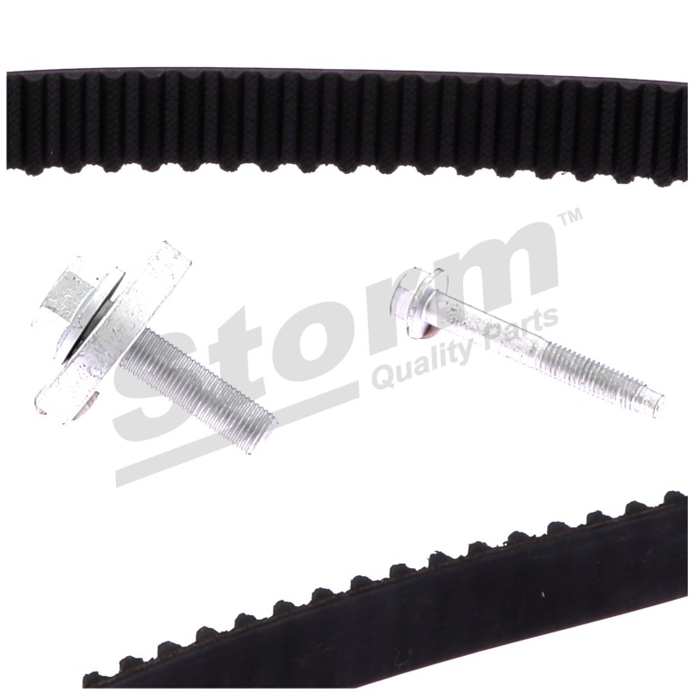 Kit de distribution Storm ref. 5550578
