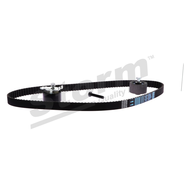 Kit de distribution Storm ref. 5550601