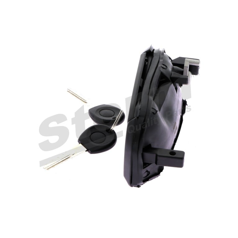 Puxador de porta Storm ref. 9662506