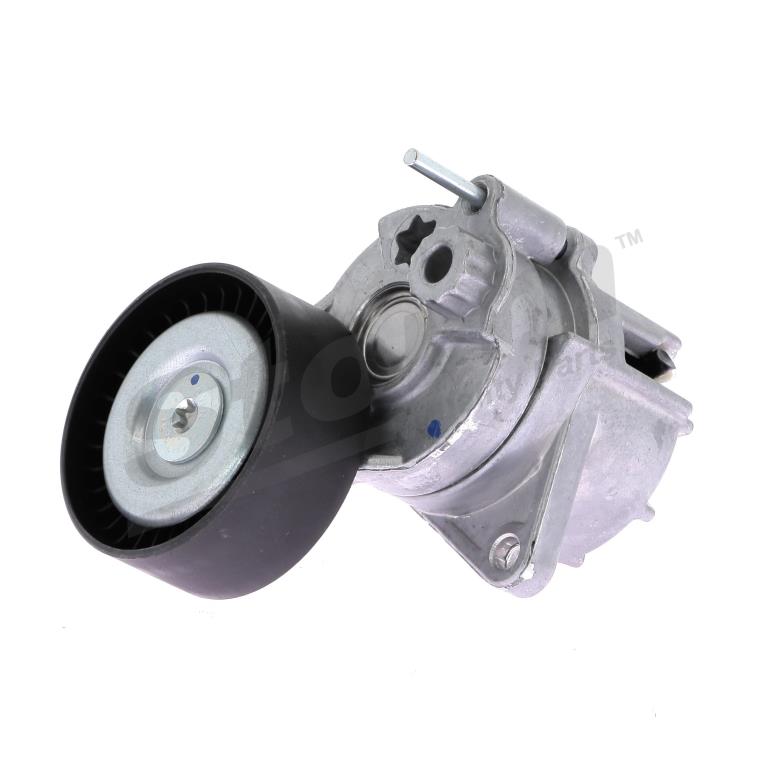 Kit de reparación, brazo tensor, correa poli V (Kit de reparación, polea tensora, correa accesorios) Storm ref. F4452