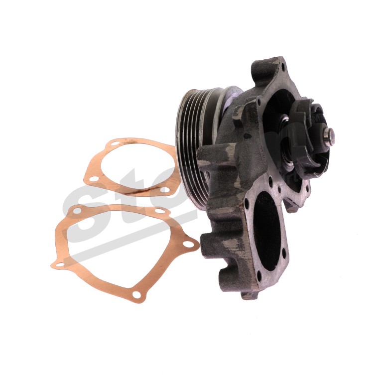 Pompe à eau Storm PA10557