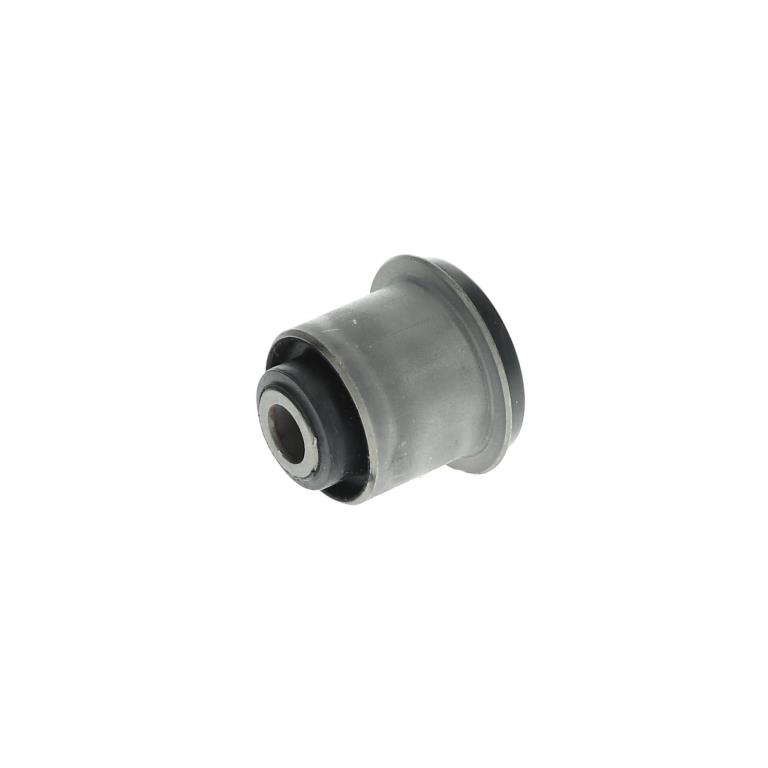 Silentblock de Suspensión DELPHI TD431W