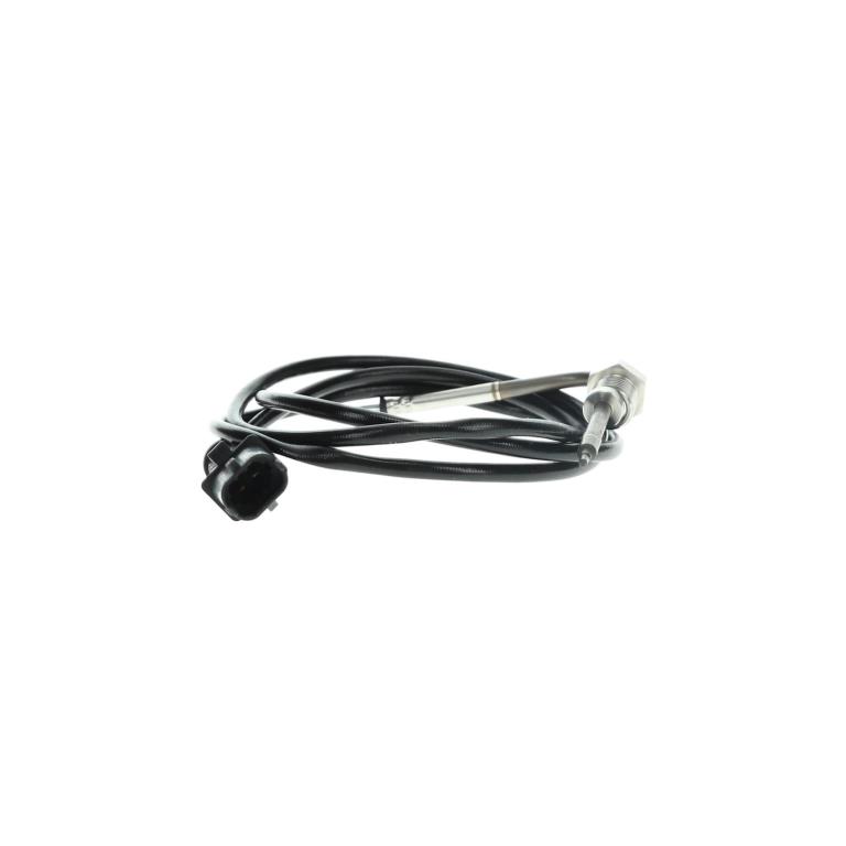 Palpeur, température des gaz DELPHI TS30025