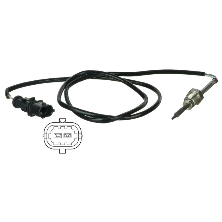 Palpeur, température des gaz DELPHI TS30013