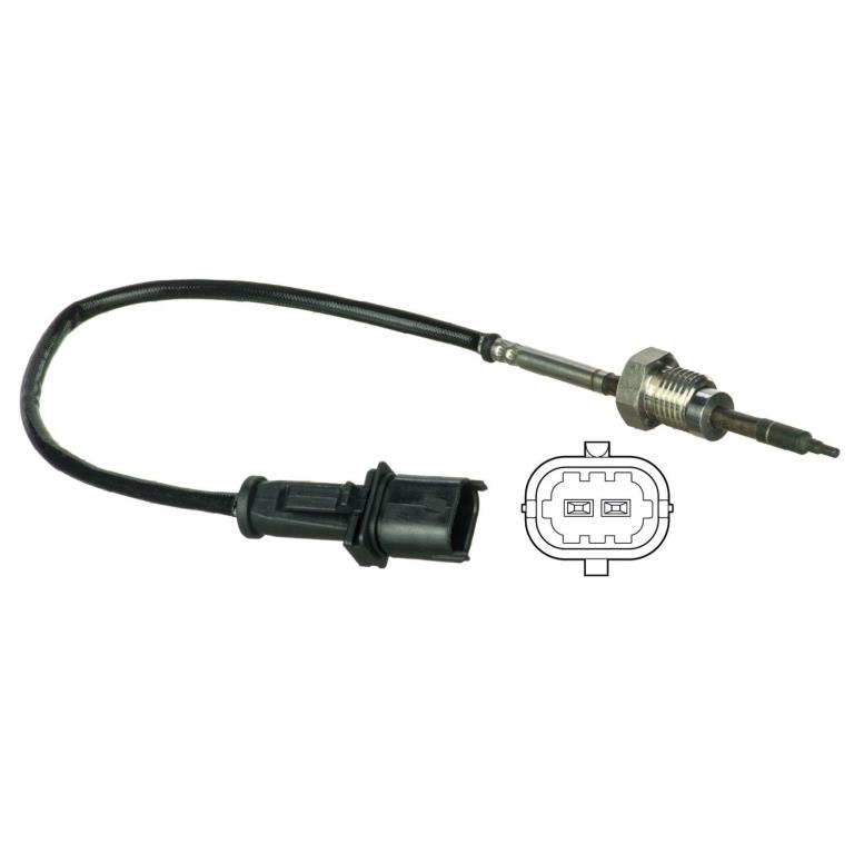 Palpeur, température des gaz DELPHI TS30022