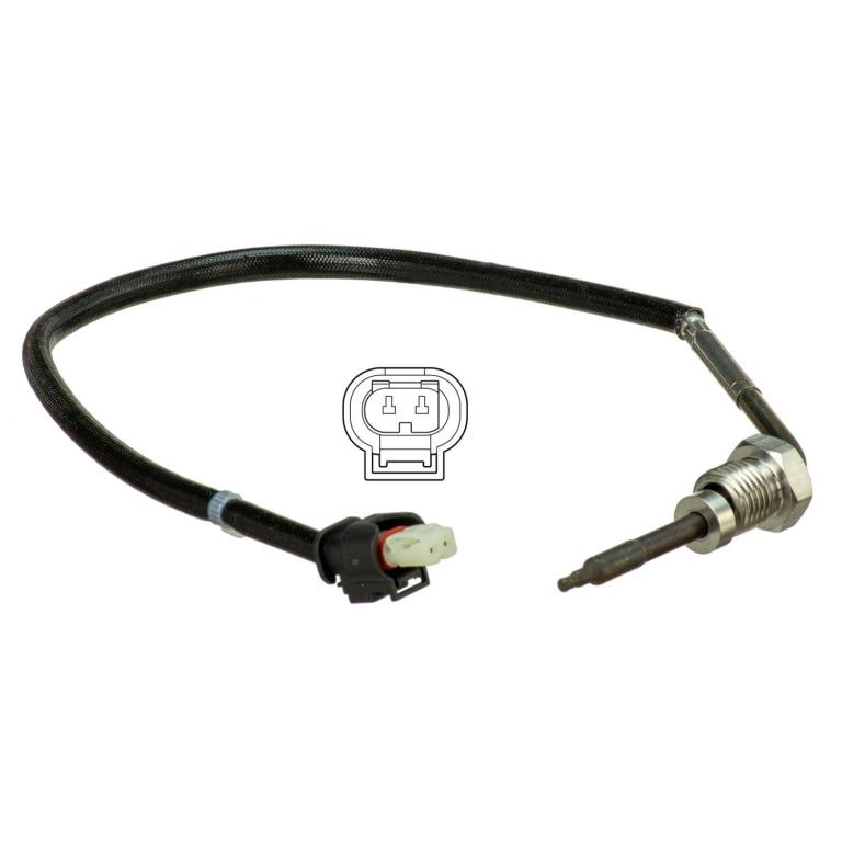 Palpeur, température des gaz DELPHI TS30098