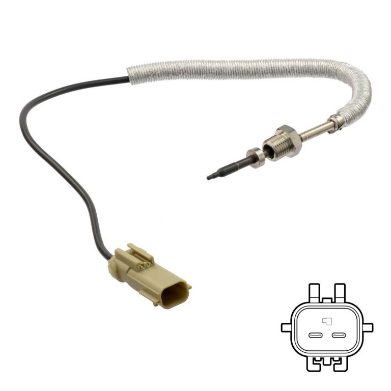 Palpeur, température des gaz DELPHI ref. TS30192