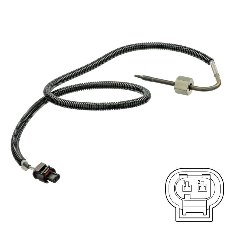 Palpeur, température des gaz DELPHI TS30225
