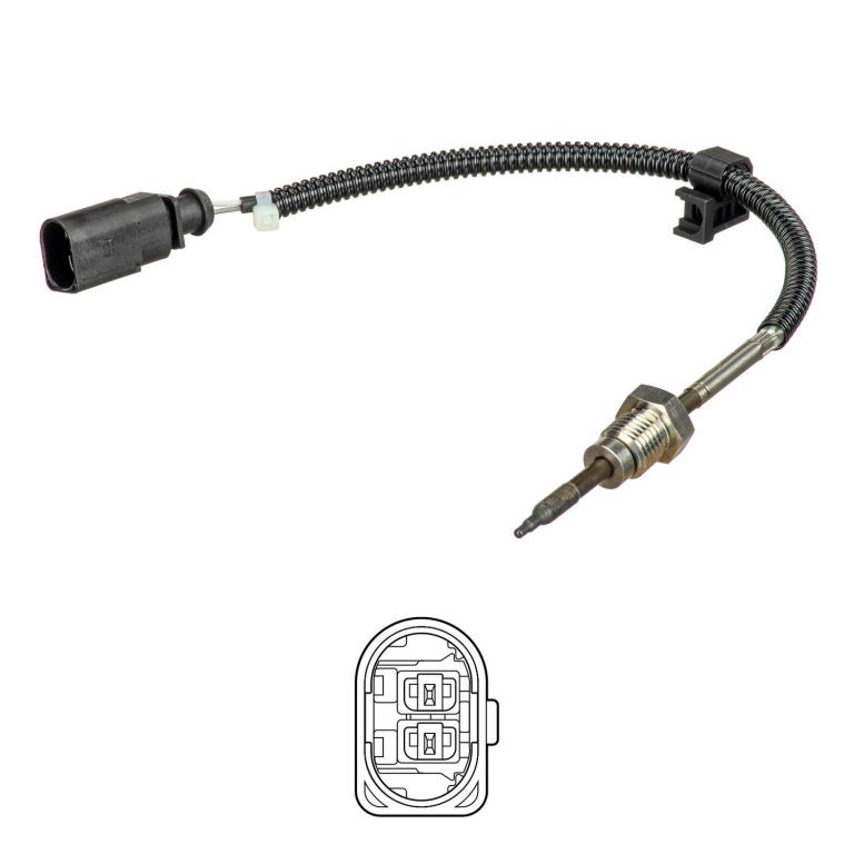 Palpeur, température des gaz DELPHI TS30258